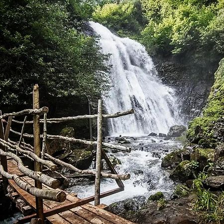 Гостевой Дом "Амза" Bed and Breakfast Tqvarcheli Eksteriør billede